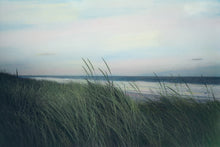 Painting Photos - A Self Paced Online Class + ONE HOUR of Zoom reviews